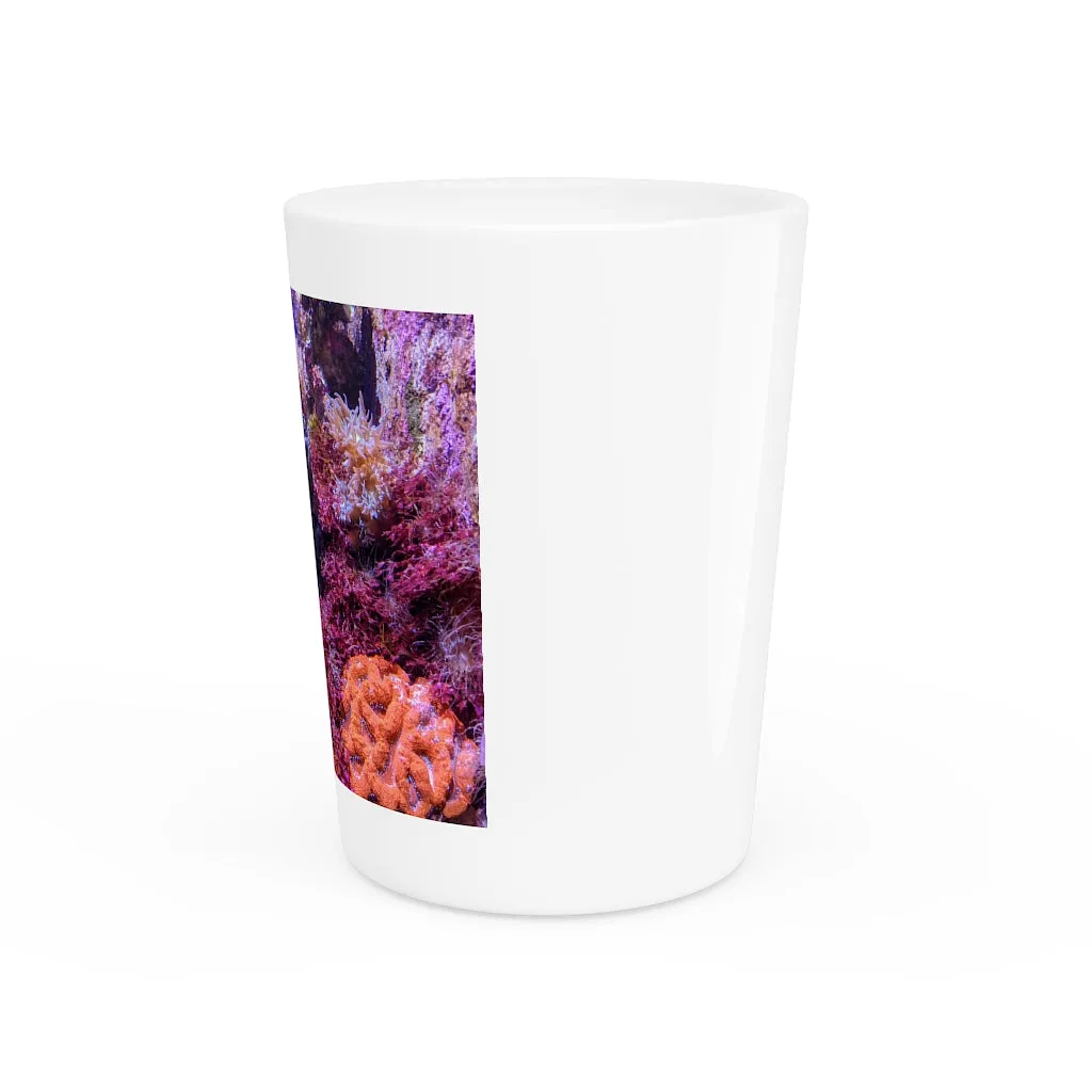 Aquarium Shot Glass