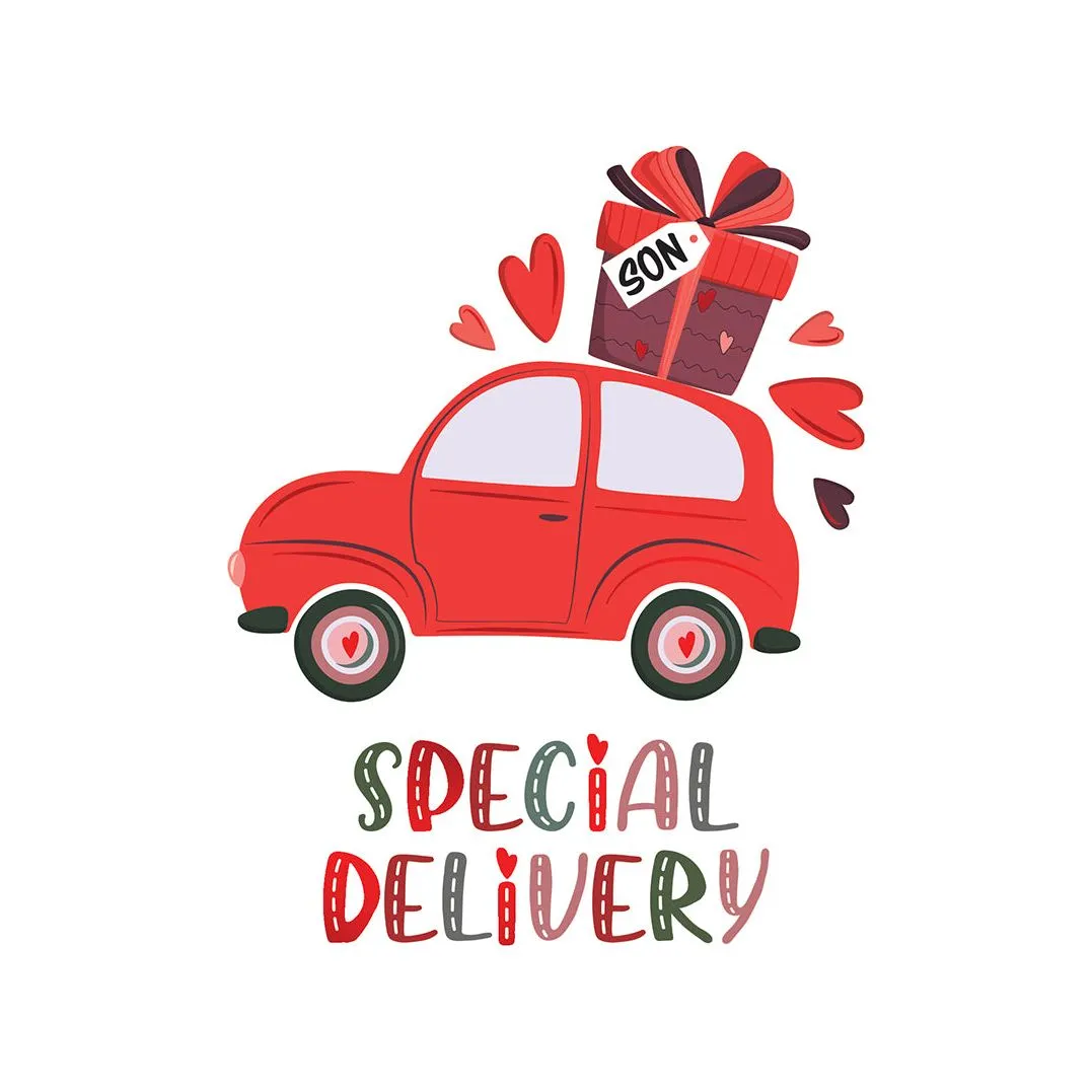 Beetle Delivery Valentine's Day Card Son