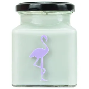 Gooseberry & Elderflower Classic Flamingo Candle