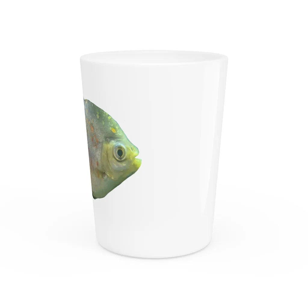 Green Fish with Specs Shot Glass