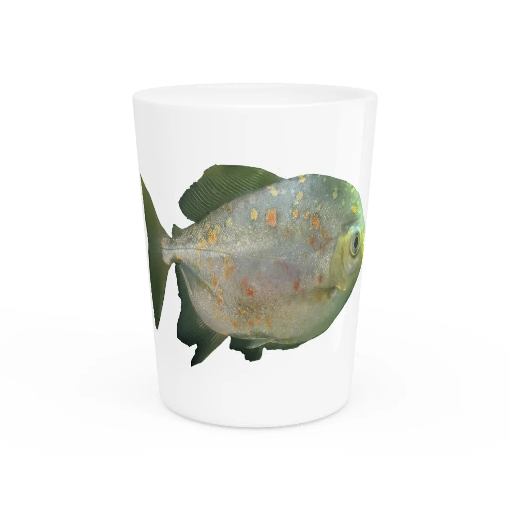 Green Fish with Specs Shot Glass