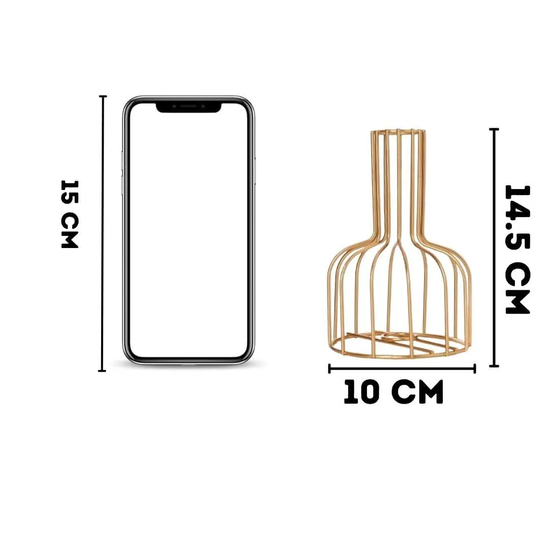 RA Handicrafts Propagation Station: Elegant Metal Frame with Test Tube Glass Vase - Perfect for Flower Pot, Gifts, Home Decor in The Bedroom, Office Corner, Living Room Decoration