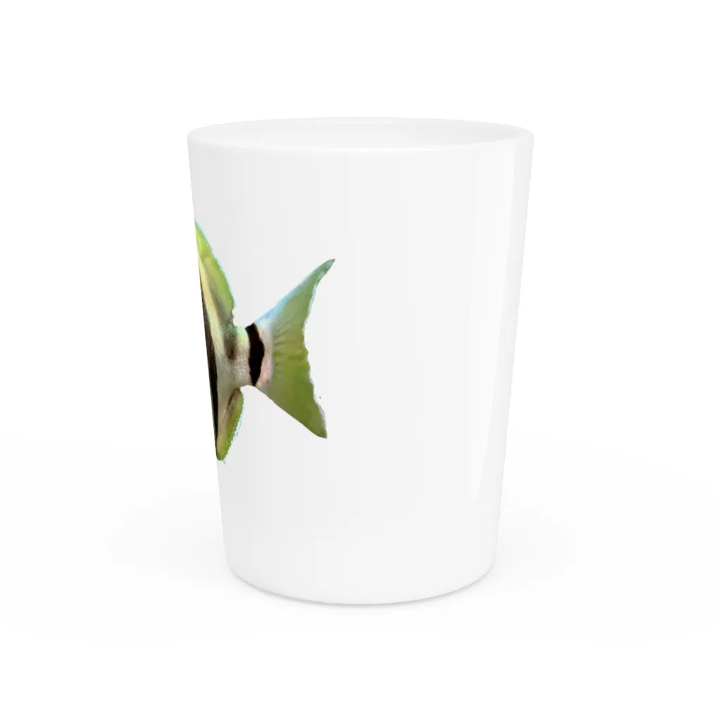 Striped Fish Shot Glass