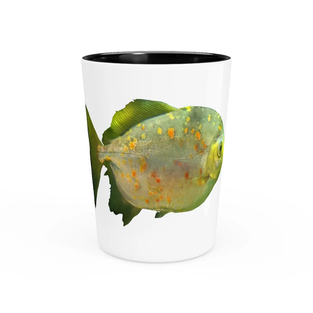 Striped Green Fish Shot Glass