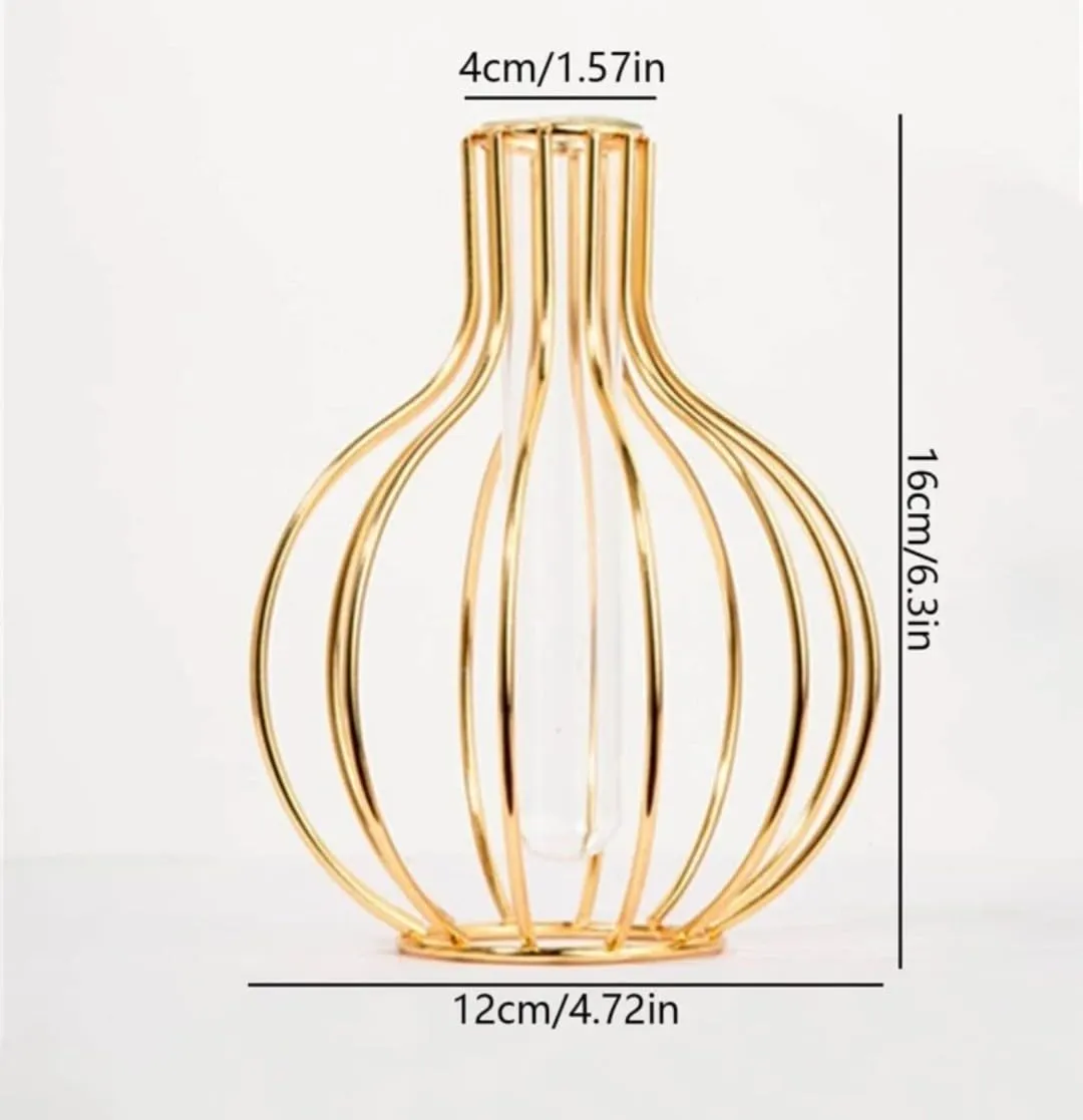 VRB DecTM 1 Pcs Metal Frame Test Tube Vase for Flower,Items Vase,Gift, Home Decor, Bedroom, Office Corner, Living Room,Aesthetic, Nordic Decoration (Design 2)